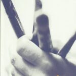 Šakiai 2003: Informacinis gamintojų katalogas