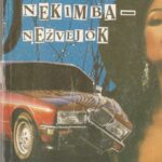 Gardner Erle Stanley. Kai nekimba-nežvejok