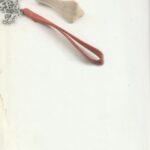 Bulgakovas Michailas. Šuns širdis