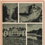 Gasiūnas Vytautas. Rokiškis