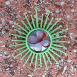 Senas eglutės žaisliukas