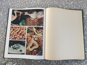 Mokslas ir gyvenimas, 1992 (9 įrišti numeriai) - Image 3