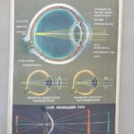 Mokomasis plakatas rusų k.