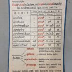 Mokomasis plakatas "Žodžio sudėtis. Nekirčiuotų ilgųjų balsių ą, ę rašymas žodžio šaknyje"