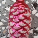 Senas eglutės žaisliukas “Kankorėžis”