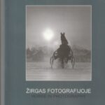 Žirgas fotografijoje