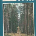 Isokas G. Lietuvos giriose