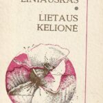 Jonas Liniauskas. Lietaus kelionė