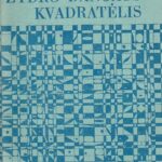 Šteinas A. Žydro dangaus kvadratėlis
