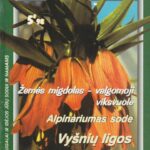 Sodo spalvos, 1998/5