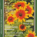 Sodo spalvos, 1999/9