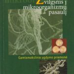 Ona Motiejūnaitė. Žvilgsnis į mikroorganizmų pasaulį