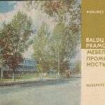 Rinkimės profesiją: baldų pramonė