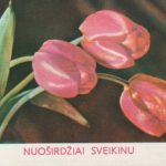 Atvirukas "Nuoširdžiai sveikinu"