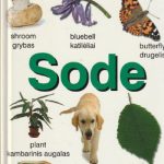 Sode