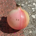 Senas eglutės žaisliukas