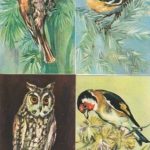 Kalendoriukų rinkinys, 1983, 4 vnt.