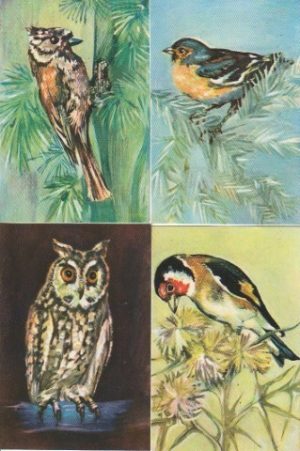 Kalendoriukų rinkinys, 1983, 4 vnt.