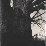 A. Navasaitis, M. Navasaitis. Lietuvos medžiai