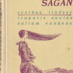 Francoise Sagan. Sveikas, liūdesy