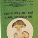Atmintinė miškų lankytojams