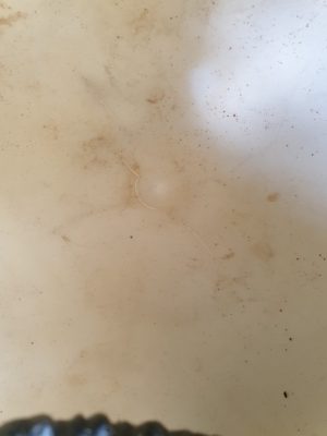 Motociklininko šalmas - Image 7