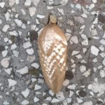 Senas eglutės žaisliukas