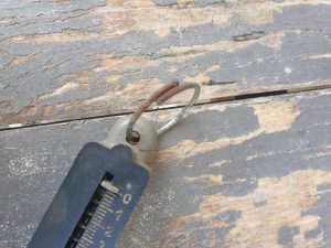 Svarstyklės - Image 4