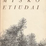 Vygantas Račkaitis. Miško etiudai