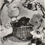 Atvirukas "Sveiki sulaukę Šv. Velykų!"