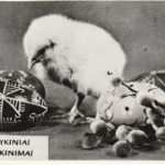 Atvirukas "Velykiniai sveikinimai"