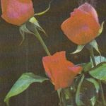 Kalendoriukas "Valstybinis draudimas - garantija", 1989