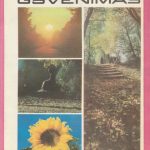 Mokslas ir gyvenimas, 1979/10