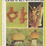 Mokslas ir gyvenimas, 1978/09