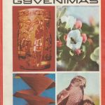 Mokslas ir gyvenimas, 1978/05