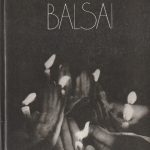 Jonas Šlekys. Atgimimo balsai