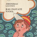 Jeronimas Laucius. Kas pastatė namą