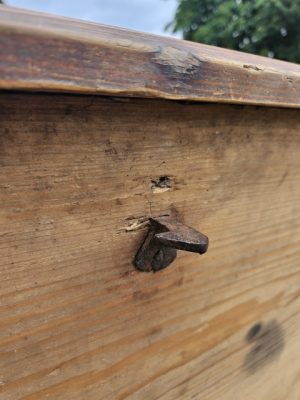 Tapyta skrynia - Image 12