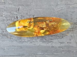 Sagė su gintarais - Image 3