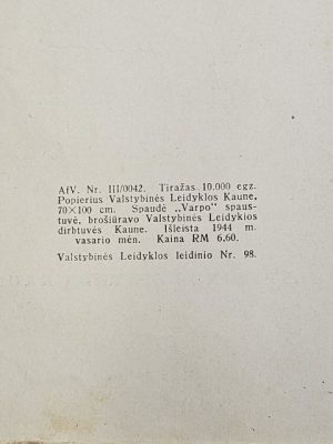 Gyd. Z. Danilevičius. Žmogus - Image 3