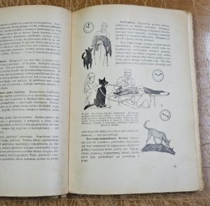 Gyd. Z. Danilevičius. Žmogus - Image 4