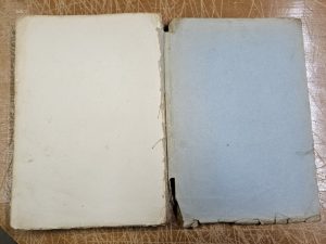 Gyd. Z. Danilevičius. Žmogus - Image 6