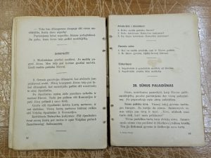 K. Žitkus. Sveika, Marija - Image 4