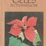 Jadvyga Rugytė. Gėlės šiltnamiuose