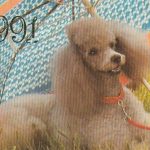 Kalendoriukas , 1991