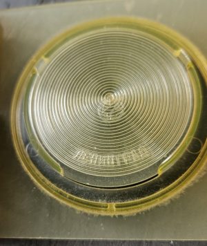 Termometras - Image 3