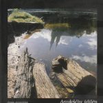 Jonas Junevičius. Anykščių idilės