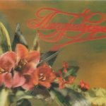 Holografinis atvirukas