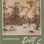 A. Žmuidzinavičius. Paletė ir gyvenimas