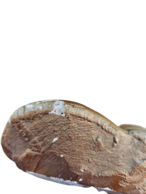 Gipsinis bareljefas - Image 6